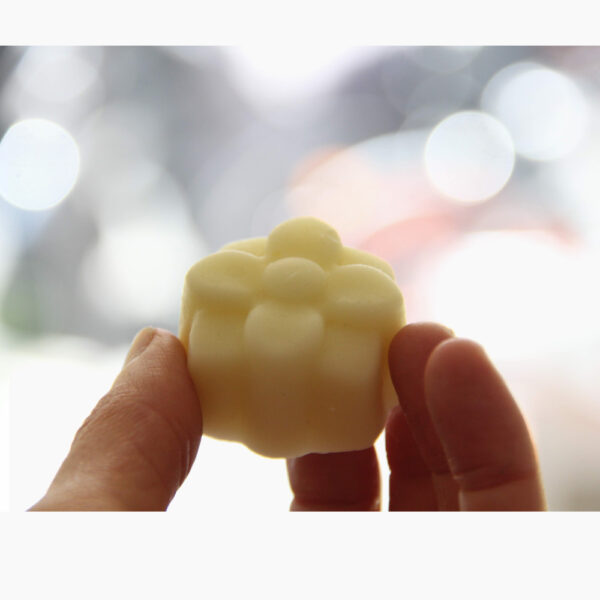 Mini après shampoing démêlant solide – Image 3