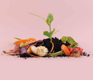 Compost - Les Glaneuses