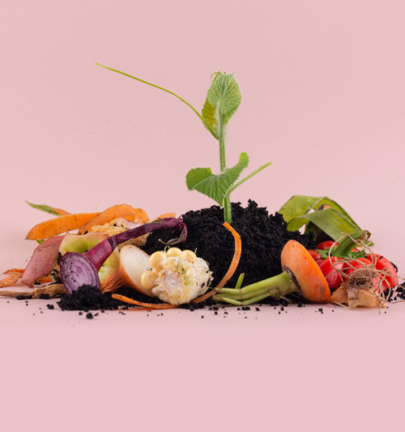 Compost - Les Glaneuses